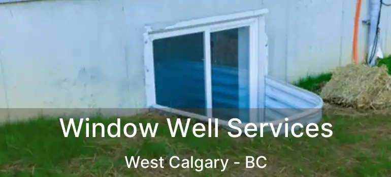 Window Well Services West Calgary - BC