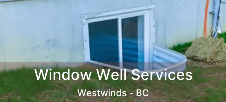  Window Well Services Westwinds - BC