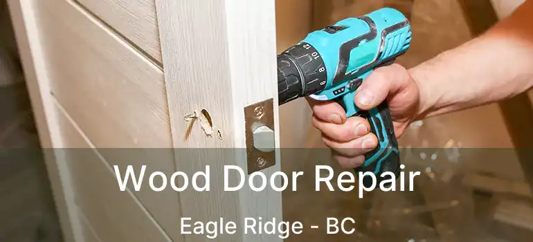 Wood Door Repair Eagle Ridge - BC