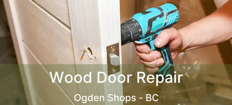  Wood Door Repair Ogden Shops - BC